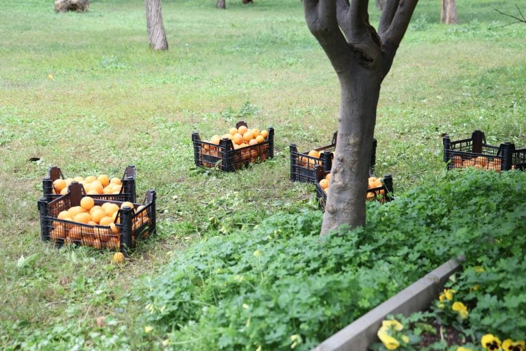 AKSU BELEDİYESİ’NDEN ÖĞRENCİLERE PORTAKAL SUYU VE TÜRK BAYRAĞI SÜRPRİZİ