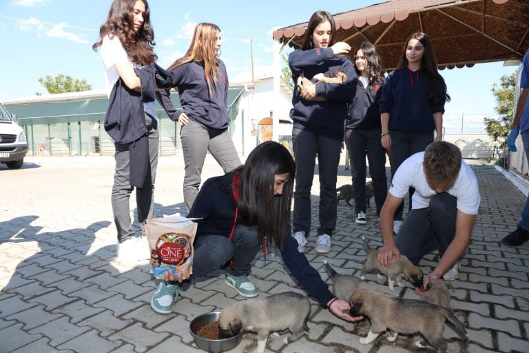 AKSU BELEDİYESİ BARINAĞINDA ÖĞRENCİLERDEN “SEV, SAHİPLEN, KORU” MESAJI