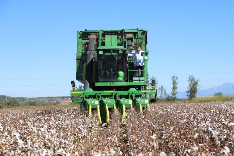 BAŞKAN YILDIRIM PAMUK HASADINA KATILDI