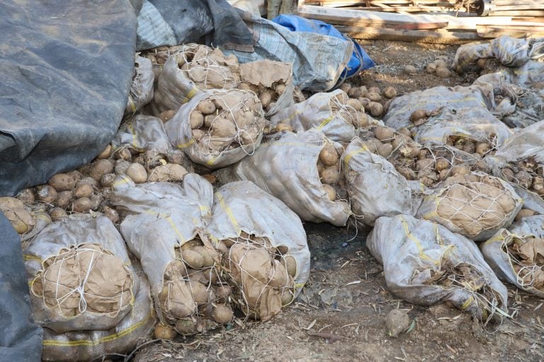 AKSU’DA KAÇAK GIDA ÜRETİMİNE GEÇİT YOK