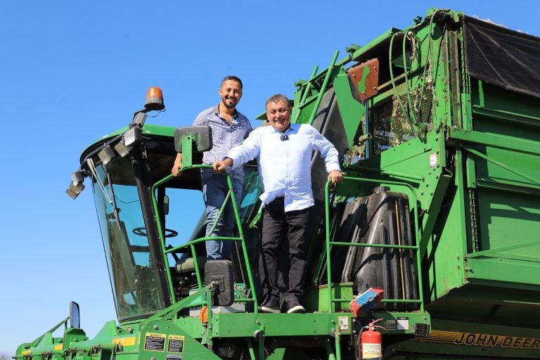 BAŞKAN YILDIRIM PAMUK HASADINA KATILDI