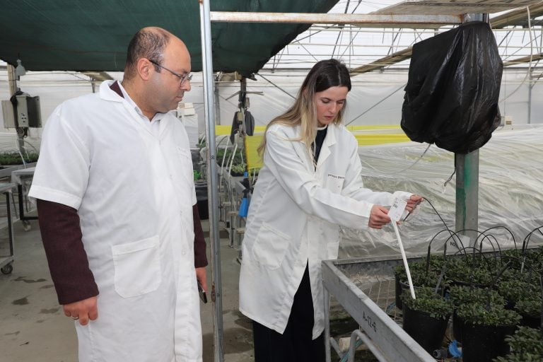 AKSU’DA İSTİHDAMA GÜÇLÜ KÖPRÜ: KARİYER MERKEZİ İŞ ARAYANLARLA İŞVERENLERİ BULUŞTURUYOR