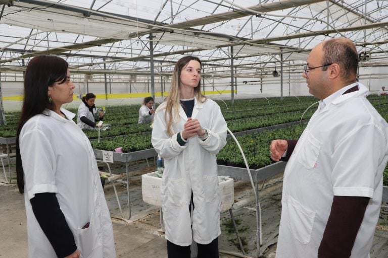 AKSU’DA İSTİHDAMA GÜÇLÜ KÖPRÜ: KARİYER MERKEZİ İŞ ARAYANLARLA İŞVERENLERİ BULUŞTURUYOR