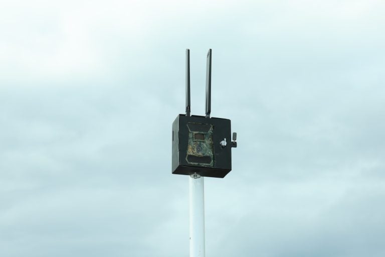 AKSU’DA KAÇAK DÖKÜME KARŞI FOTOKAPANLI DENETİM SÜRECİ BAŞLADI