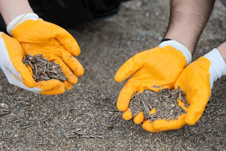 KUMKÖY SAHİLİNDE “BİR SAHİL, BİN YAŞAM” İÇİN ORTAK HAREKET