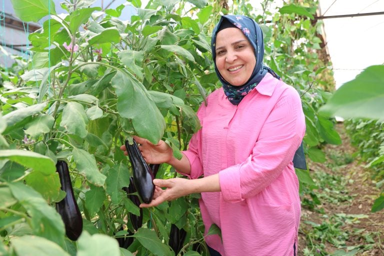 Aksu’da Kadın Üreticilere Güçlü Destek: Seralarda Emek, Dayanışma ve Üretim Bir Arada