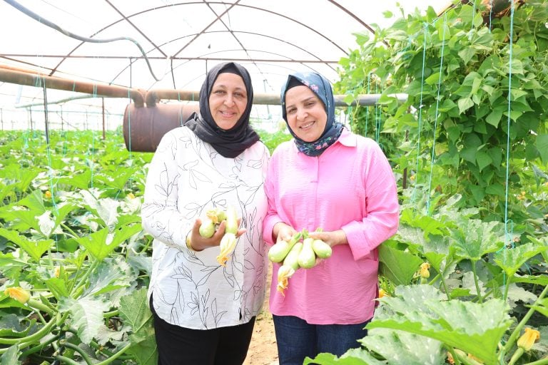 Aksu’da Kadın Üreticilere Güçlü Destek: Seralarda Emek, Dayanışma ve Üretim Bir Arada