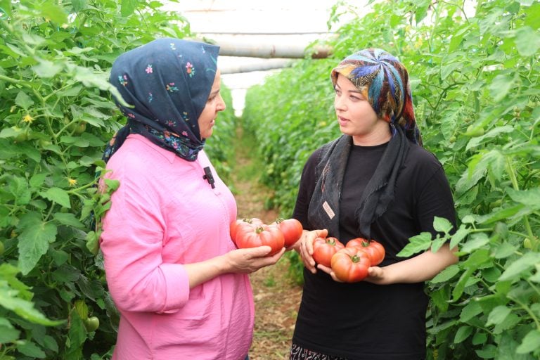 Aksu’da Kadın Üreticilere Güçlü Destek: Seralarda Emek, Dayanışma ve Üretim Bir Arada