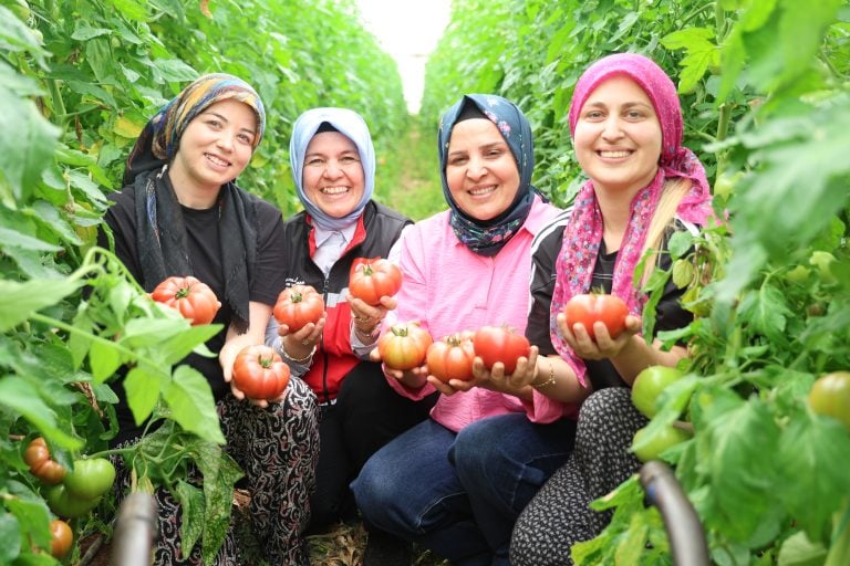 Aksu’da Kadın Üreticilere Güçlü Destek: Seralarda Emek, Dayanışma ve Üretim Bir Arada