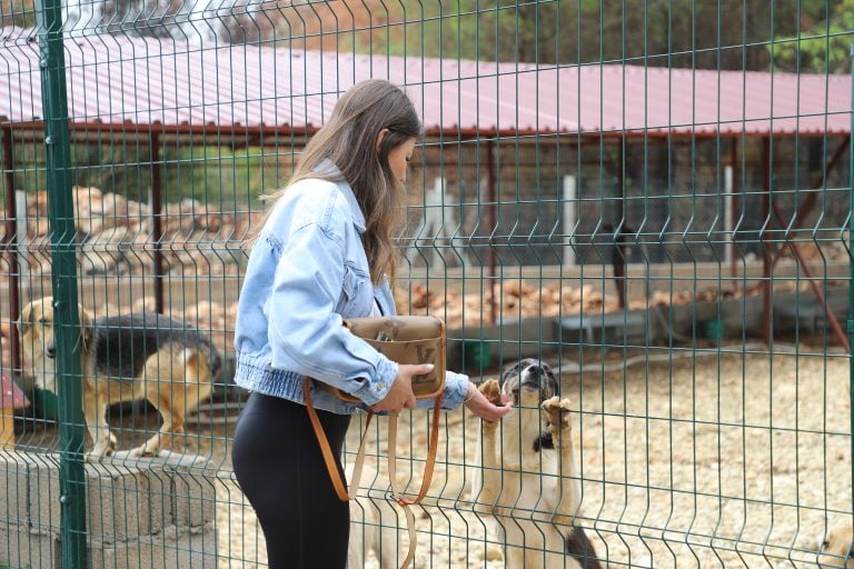 ÇİLEK VE DUMAN, 8 ARKADAŞIYLA BİRLİKTE YENİ YUVALARINA KAVUŞTU