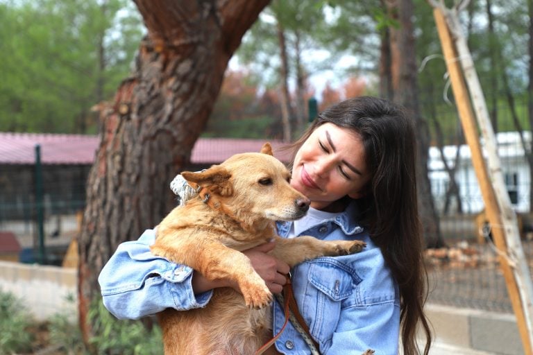 ÇİLEK VE DUMAN, 8 ARKADAŞIYLA BİRLİKTE YENİ YUVALARINA KAVUŞTU