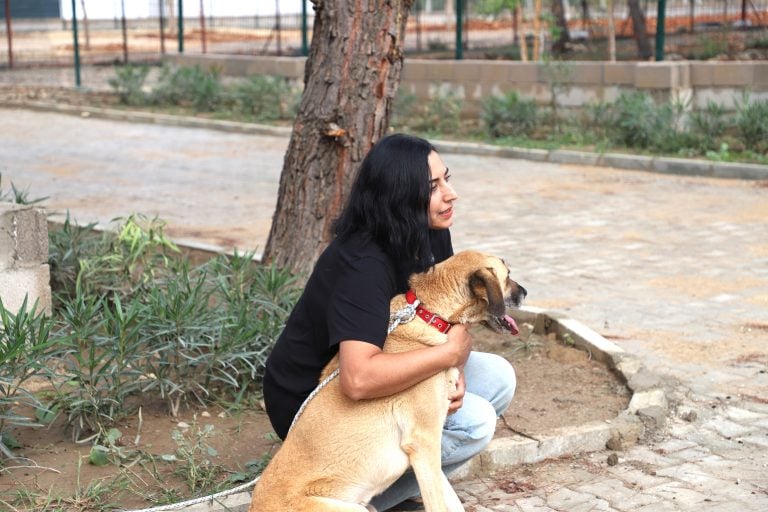 ÇİLEK VE DUMAN, 8 ARKADAŞIYLA BİRLİKTE YENİ YUVALARINA KAVUŞTU