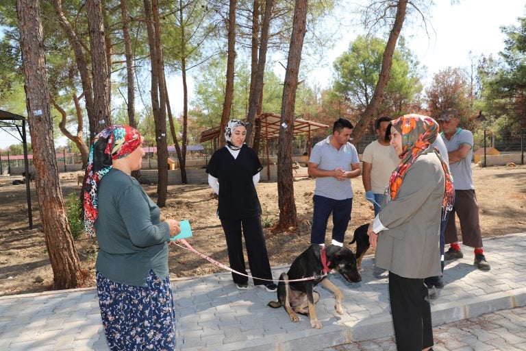KOPİ, YANGININ ARDINDAN YENİ YUVASINA KAVUŞTU